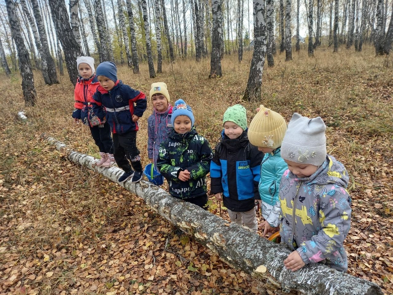 Юные защитники природы фото